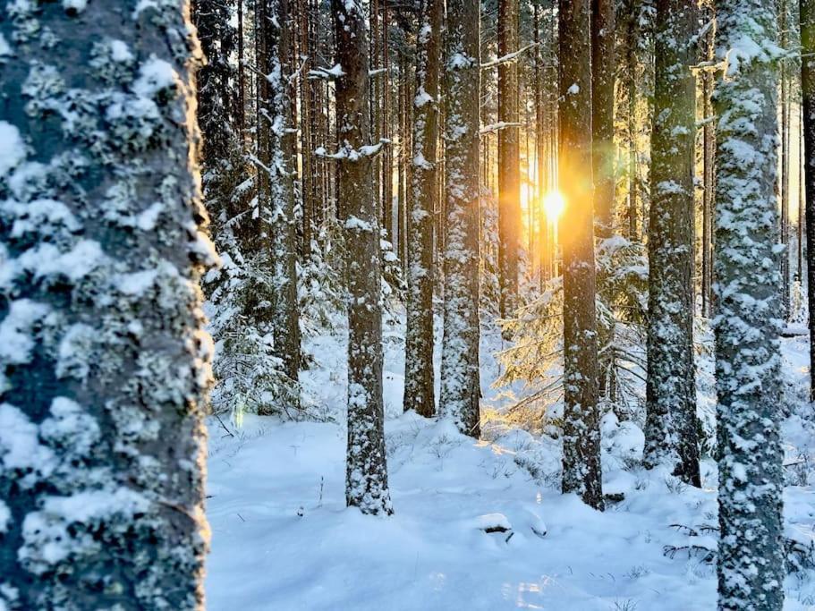Villa Langroesta; Ruime Blokhut Grenzend Aan Bos Hagfors Esterno foto